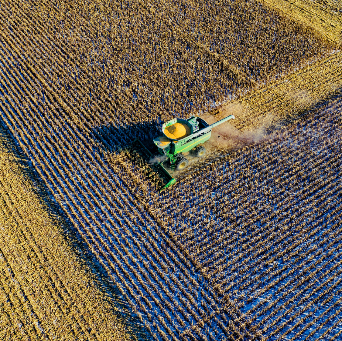 Agricultura